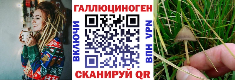 Галлюциногенные грибы мухоморы  Купить закладки  Кохма 